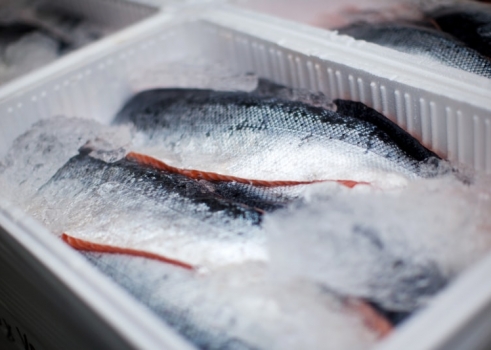 FETEIA alerta también del riesgo de desvío de tráficos de pescado a otros puertos europeos