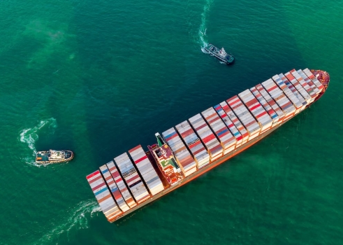 La flota mundial de buques portacontenedores seguirá creciendo en los próximos años